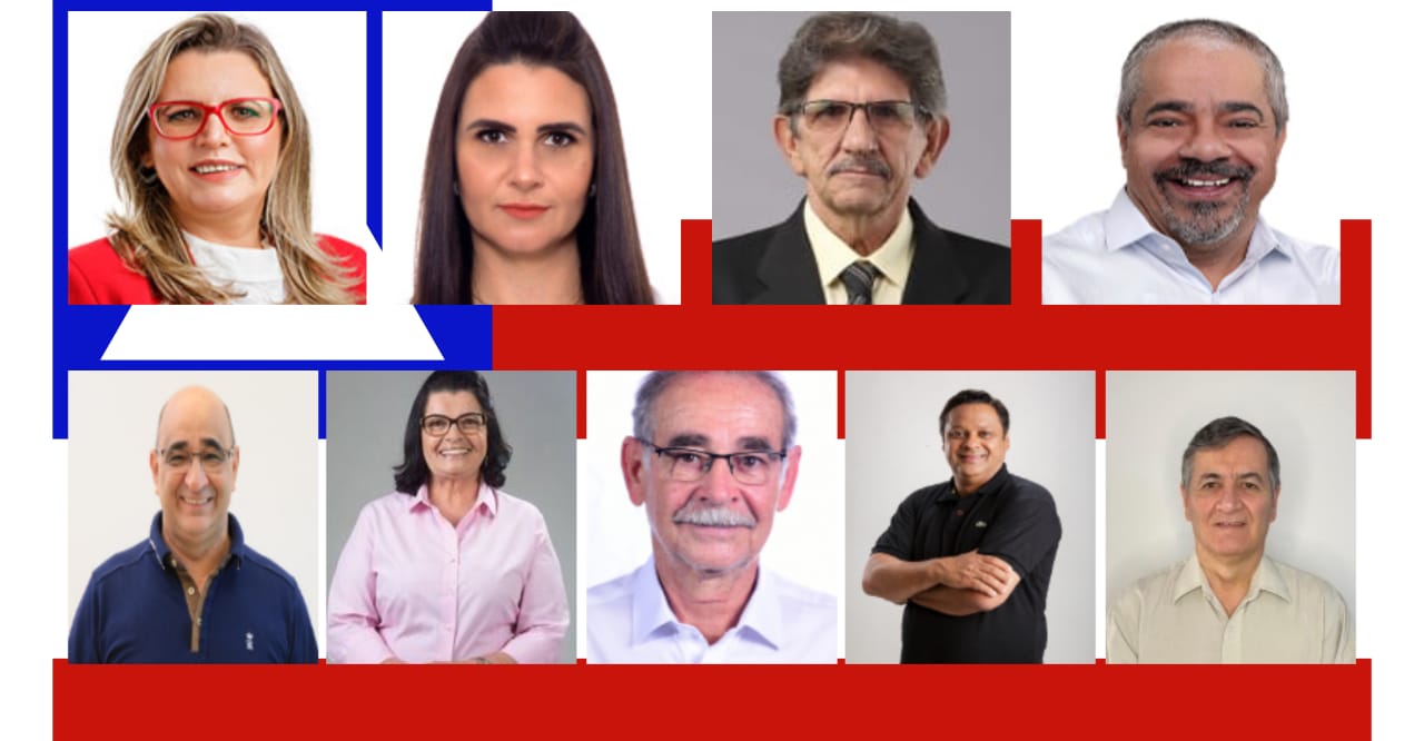 Confira A Ficha De Candidatos A Deputado Estadual De Conquista