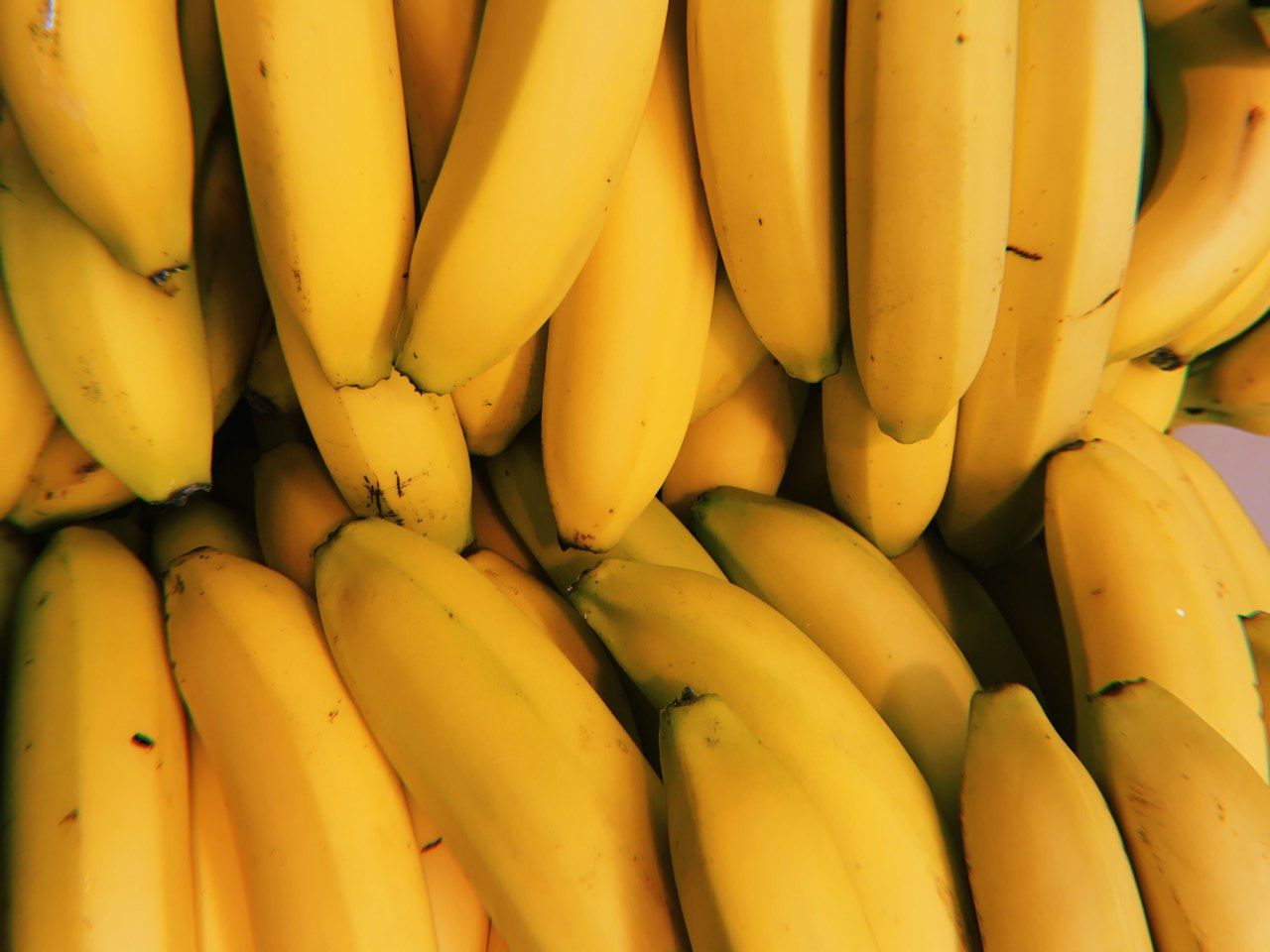 Mitos e verdades sobre os benefícios da banana para a saúde » Avoador